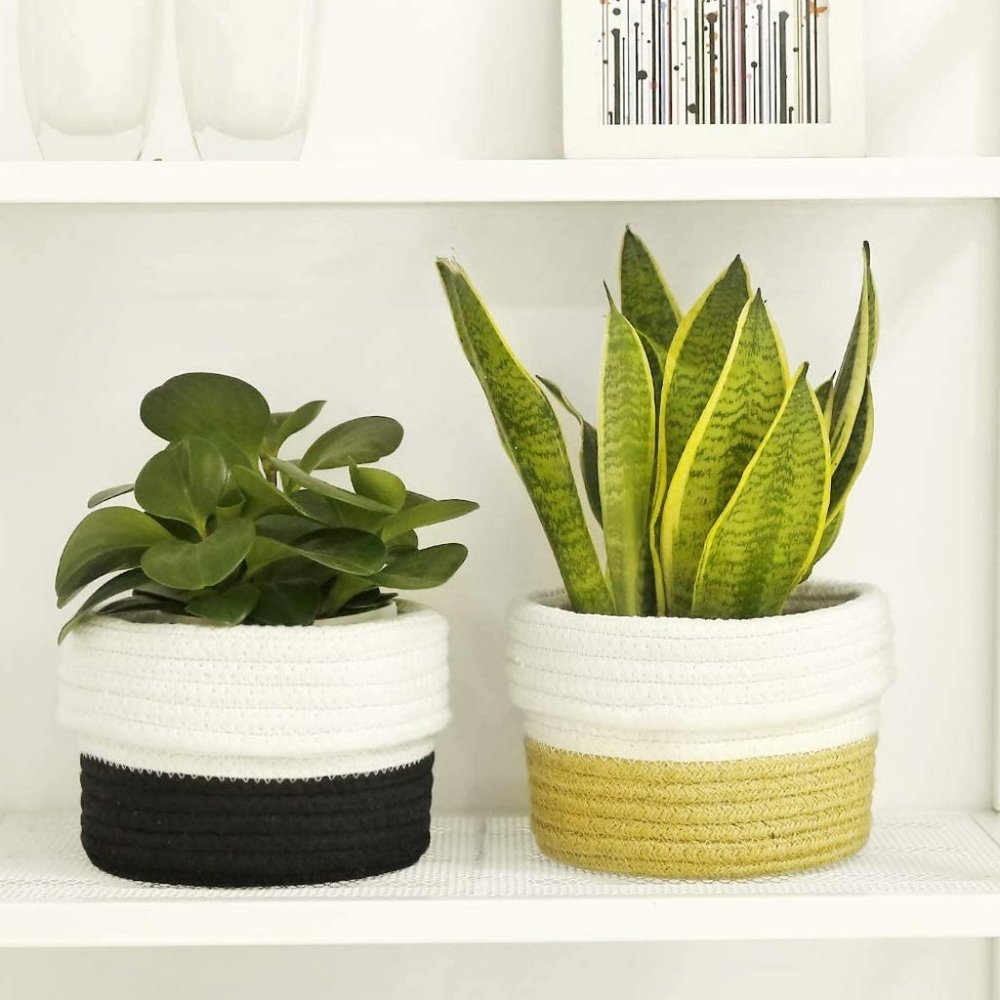 Cotton Rope Woven Plant Basket, Storage Organizer Basket (H 6.75" x W 6.5") - Picture 7 of 7